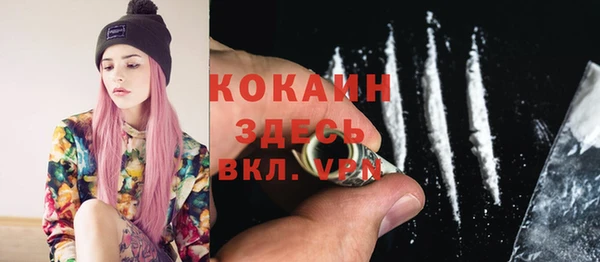 spice Богданович