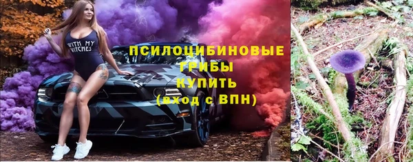 мдпв Бугульма
