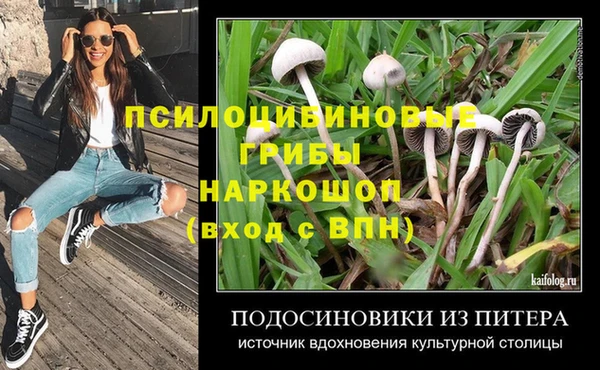 СК Богородицк