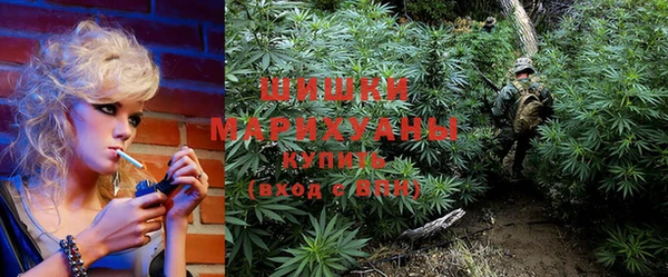 spice Богданович
