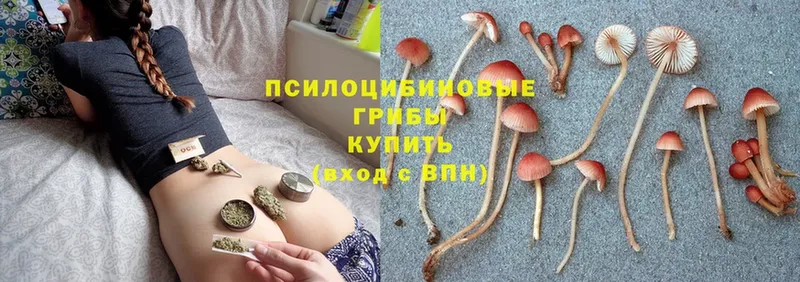 hydra как зайти  shop официальный сайт  Верхний Тагил  Псилоцибиновые грибы Magic Shrooms  наркота 